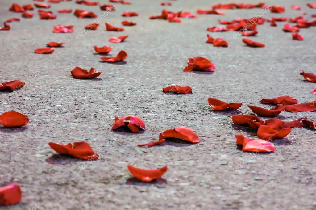Red Rose Petals on the Floor — Stock Photo © ViewApart 33282377
