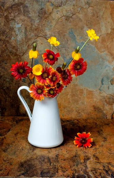 Wild flowers in a white pitcher on a slate background