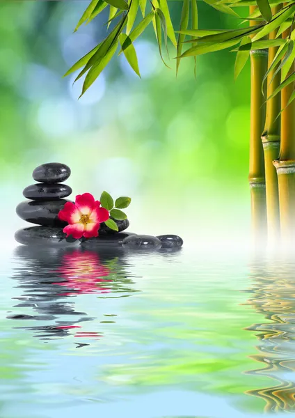 Rose, stones and bamboo on water