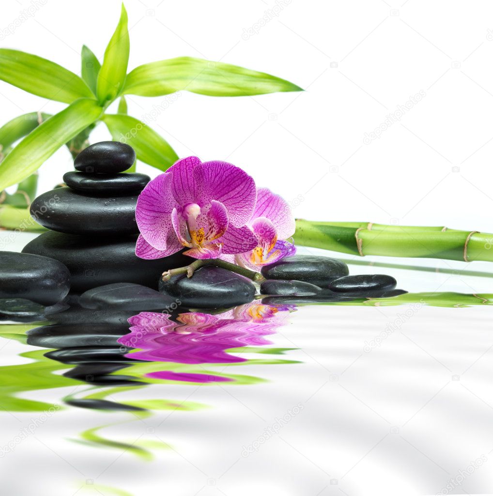 spa salon relax ru spa salon relax ru