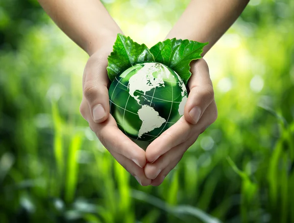 Environmental concept with glass globe and leaves on grass background - America