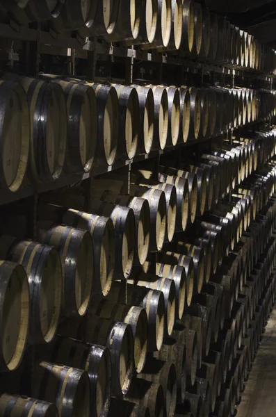Many barrels of wine together