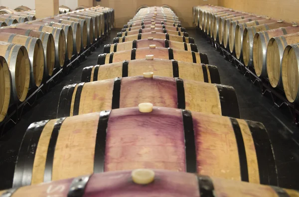 Barrels of red wine
