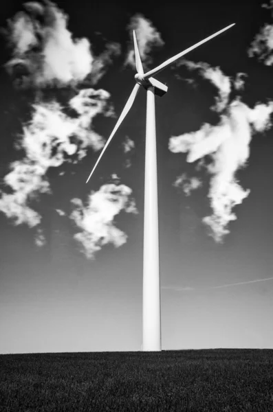Windmills to generate wind power in black and white