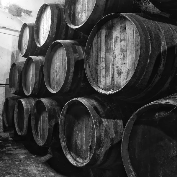 Wine barrels in black and white