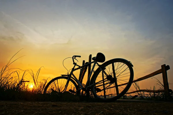 Bicycle put up at wooden fence in sunrise