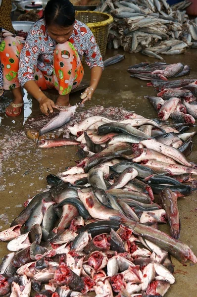 People do fish preparation by scale and cut fish