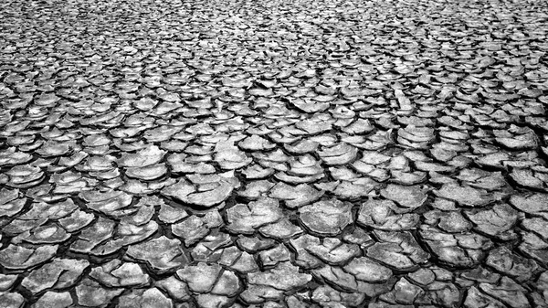 Drought land, warming global
