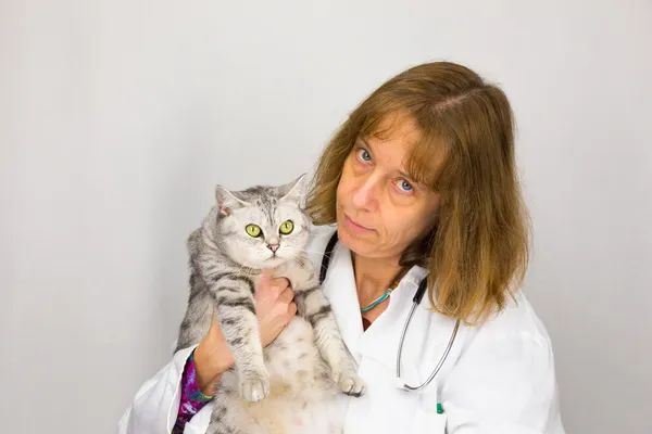 Female veterinarian holding cat