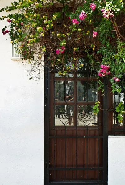 Door and a rose bush