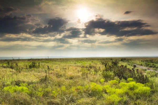 Dramatic Sunrise over the Kansas Tallgrass Prairie Preserve National Park