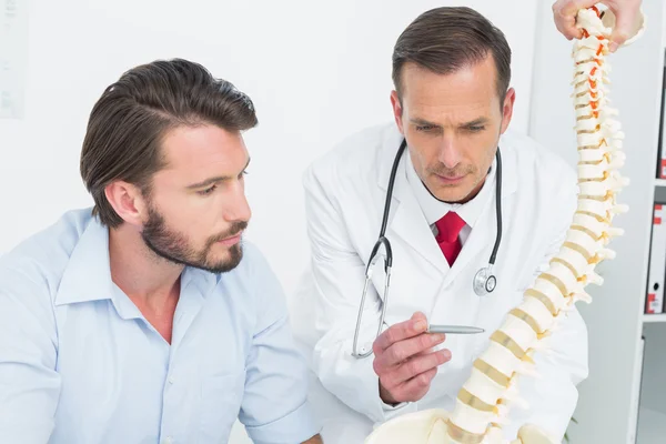 Male doctor explaining the spine to a patient