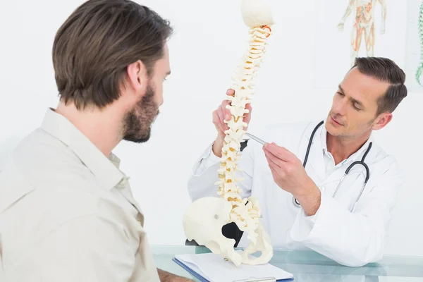 Male doctor explaining the spine to a patient