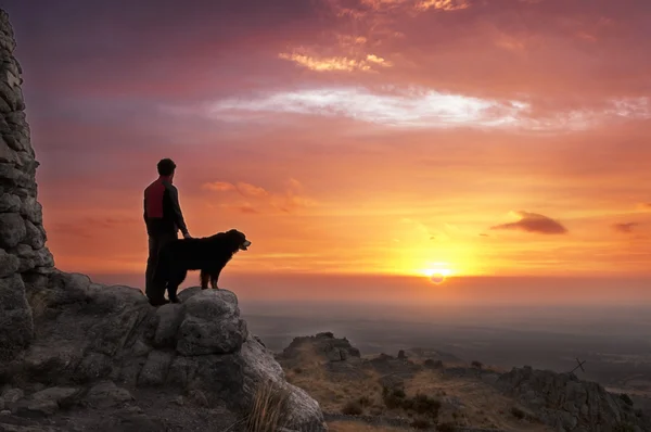Man and dog at dawn