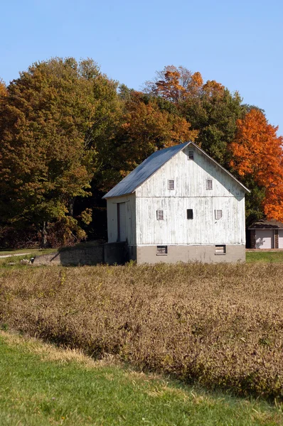 Rustic barns in a Michigan in the fall