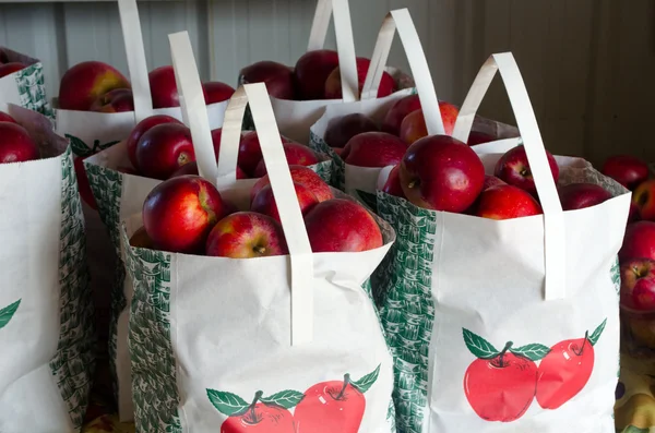 Bags of red apples for sale