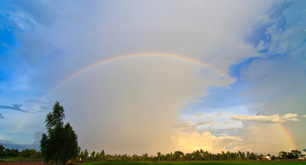 Rice field and cloudy sky and rainbow in background