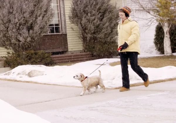 Walking The Dog In The Snow