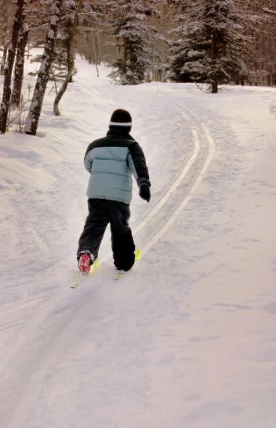 Young Child Cross Country Skiing