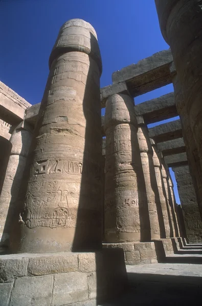 Columns With Egyptian Hieroglyphs In Luxor