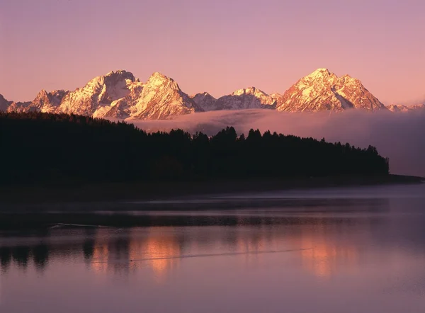 Grand Teton Mountains With Silhouetted Aspen Trees At Sunrise With Reflection In Jackson Lake, Grand Teton National Park