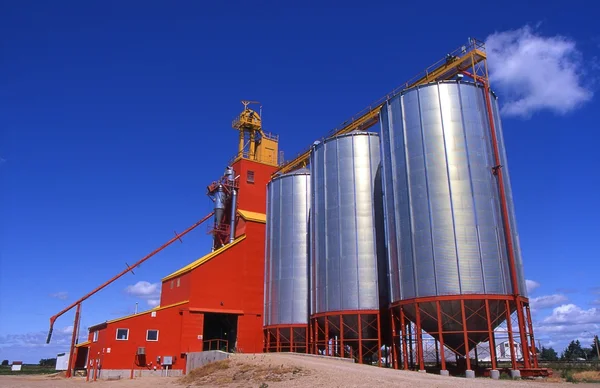 Grain Silos And Conveyor Belt