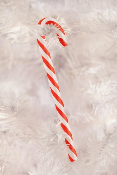 Closeup Of A Candy Cane On White Tree