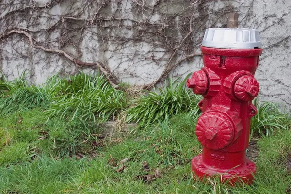 A Bright Red Fire Hydrant Against A Stone Wall