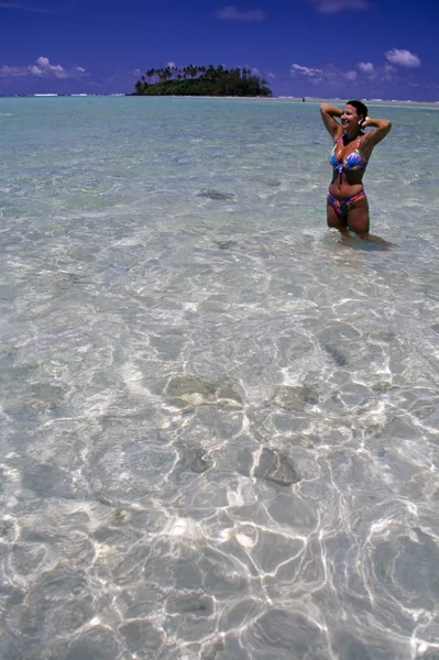 Tourist In The Water At Rarotonga Island, Cook Islands