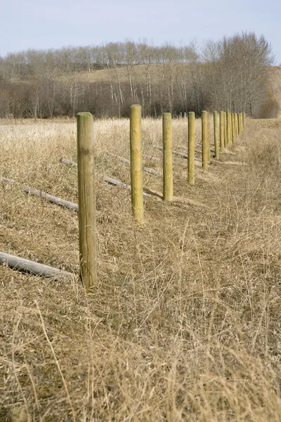 Rural Fence Posts