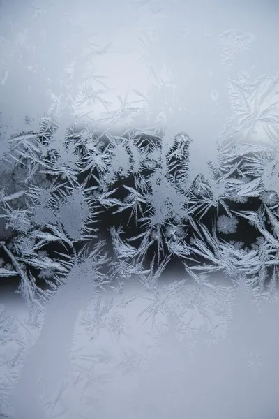 Ice Crystal Patterns On Glass