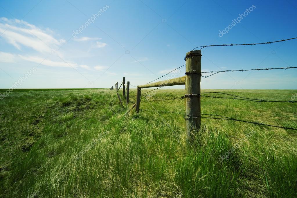 Ранее учтенный земельный участок что делать