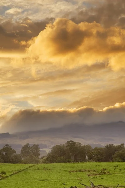 Sunrise Above Field With Cloudy Sky And Trees