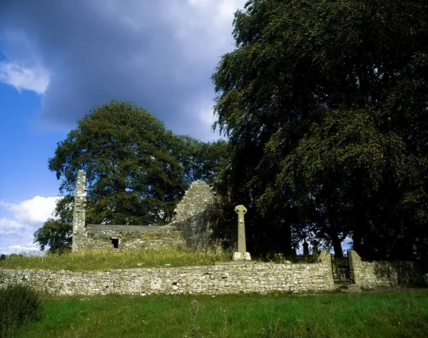 Roscrea,Co Tipperary,Ireland. Celtic Archaeology In Field