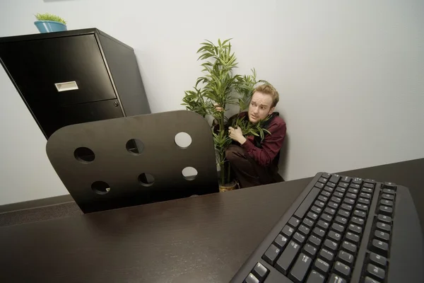 Businessman Hiding Behind A Potted Plant In An Office