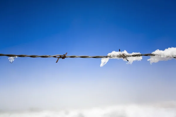 Snow Melting From Barbed-Wire Fence