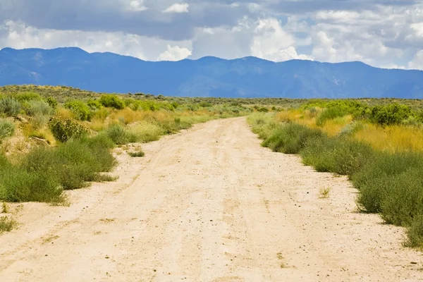 New Mexico, USA. Desert Trail With Mountains In The Distance