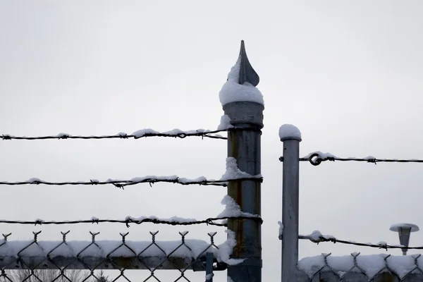 Chicken Wire Fence And Barbed Wire Covered In Snow