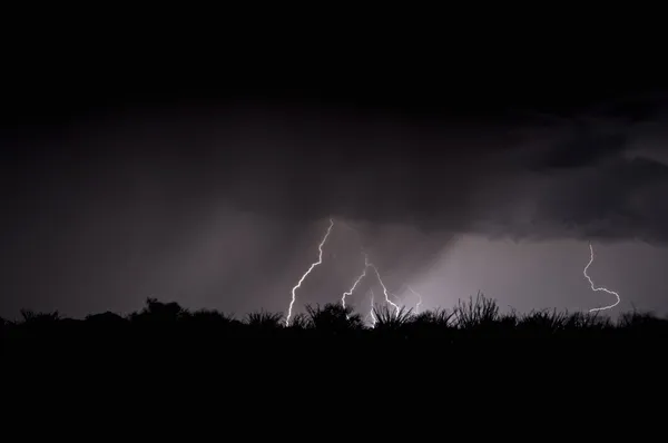 A Severe Thunderstorm, Arizona, USA