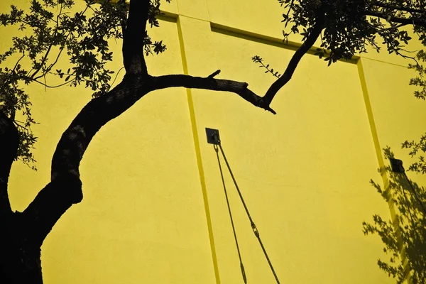 A Yellow Wall And Trees