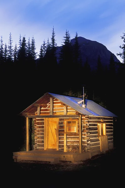 Wood Cabin In Forest