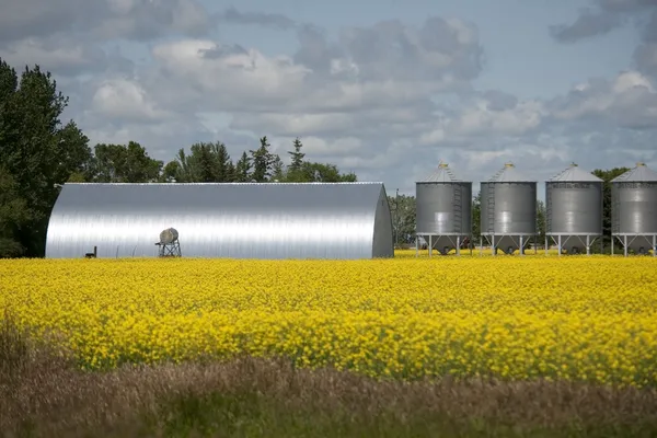 Metallic Grain Storage Units, Manitoba, Canada