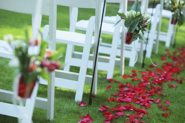 Path Of Rose Petals Behind A Row Of White Chairs