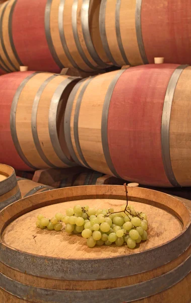 Wine barrels and wine grapes