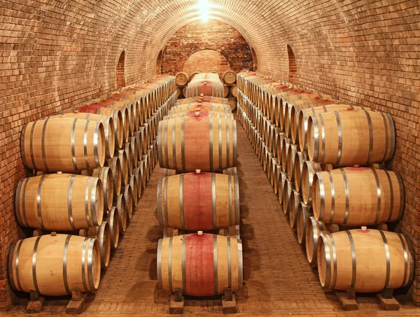 Wine barrels in cellar