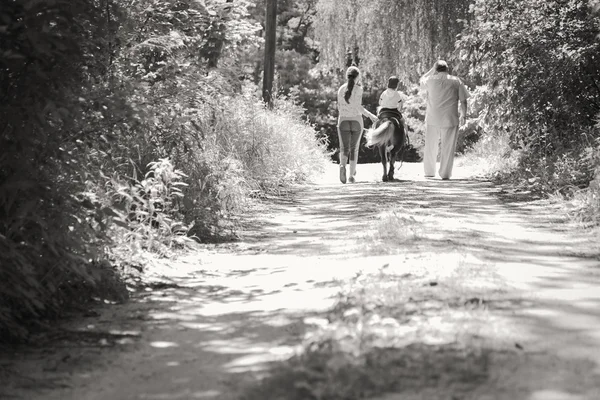 Happy family in forest