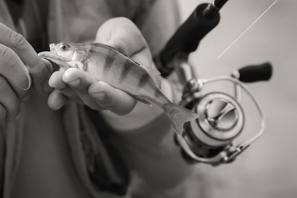 Fisherman holding fish