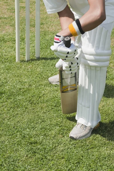 Cricket batsman playing a defensive stroke