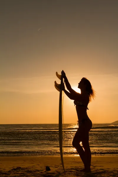 Rear view of beautiful sexy young woman surfer girl in bikini with white surfboard on a beach at sunset or sunrise