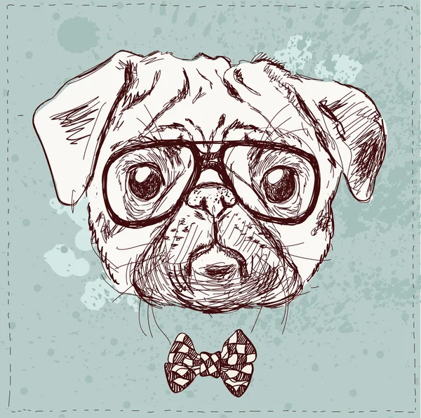 perro pug inconformista con gafas — Vector stock © iriskana #36831361